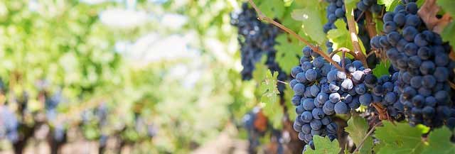 ddos压力测试平台